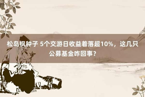 松岛枫种子 5个交游日收益着落超10%，这几只公募基金咋回事？