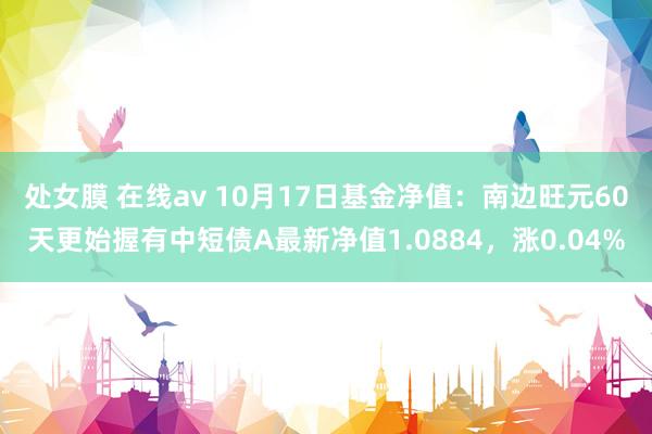 处女膜 在线av 10月17日基金净值：南边旺元60天更始握有中短债A最新净值1.0884，涨0.04%