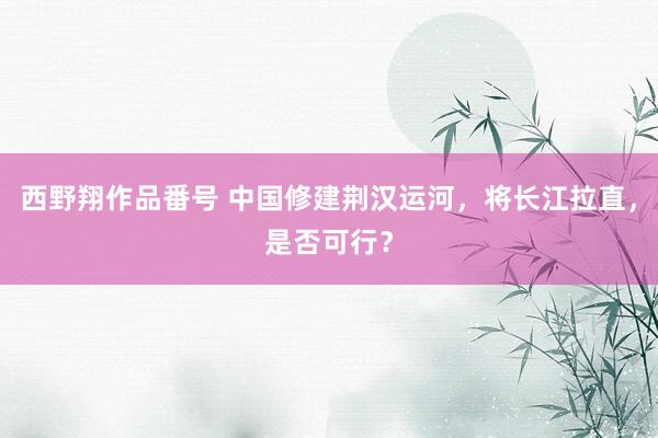 西野翔作品番号 中国修建荆汉运河，将长江拉直，是否可行？