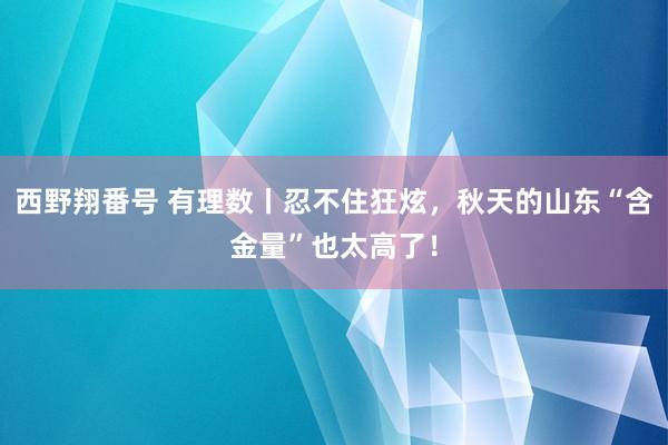 西野翔番号 有理数丨忍不住狂炫，秋天的山东“含金量”也太高了！