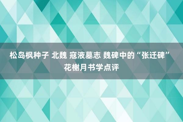 松岛枫种子 北魏 寇液墓志 魏碑中的“张迁碑” 花榭月书学点评