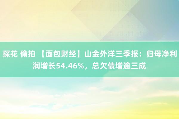 探花 偷拍 【面包财经】山金外洋三季报：归母净利润增长54.46%，总欠债增逾三成