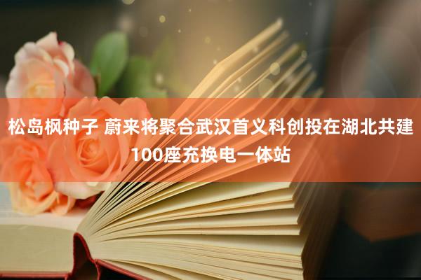 松岛枫种子 蔚来将聚合武汉首义科创投在湖北共建100座充换电一体站