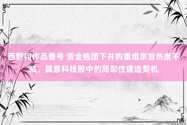 西野翔作品番号 资金抱团下并购重组宗旨热度不减，属意科技股中的局部性建造契机