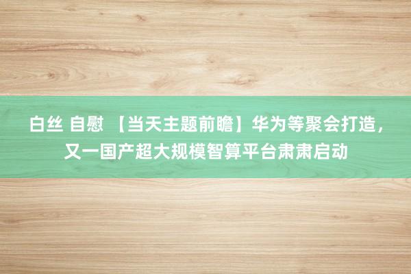 白丝 自慰 【当天主题前瞻】华为等聚会打造，又一国产超大规模智算平台肃肃启动