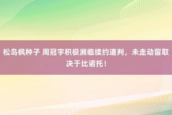 松岛枫种子 周冠宇积极濒临续约道判，未走动留取决于比诺托！