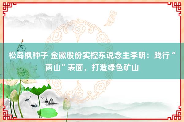 松岛枫种子 金徽股份实控东说念主李明：践行“两山”表面，打造绿色矿山