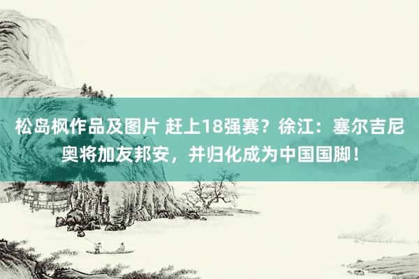 松岛枫作品及图片 赶上18强赛？徐江：塞尔吉尼奥将加友邦安，并归化成为中国国脚！