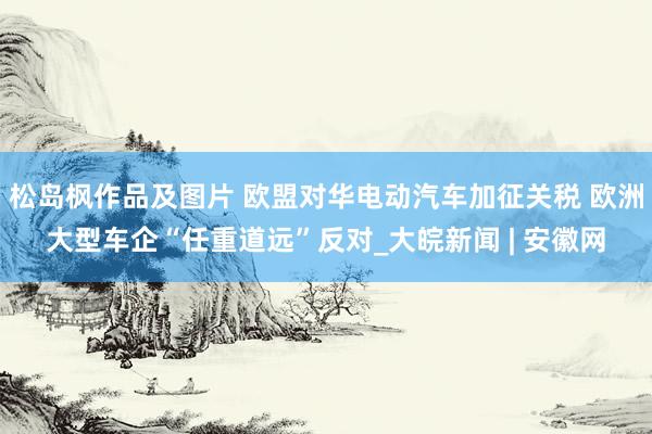 松岛枫作品及图片 欧盟对华电动汽车加征关税 欧洲大型车企“任重道远”反对_大皖新闻 | 安徽网