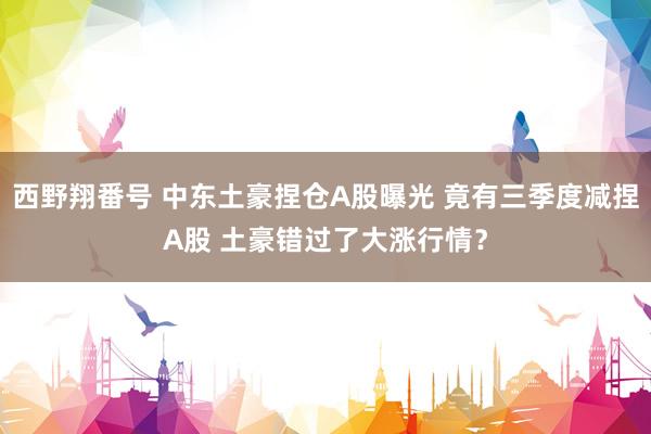 西野翔番号 中东土豪捏仓A股曝光 竟有三季度减捏A股 土豪错过了大涨行情？