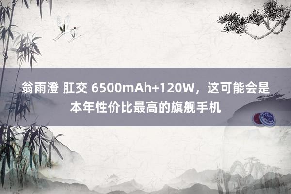 翁雨澄 肛交 6500mAh+120W，这可能会是本年性价比最高的旗舰手机