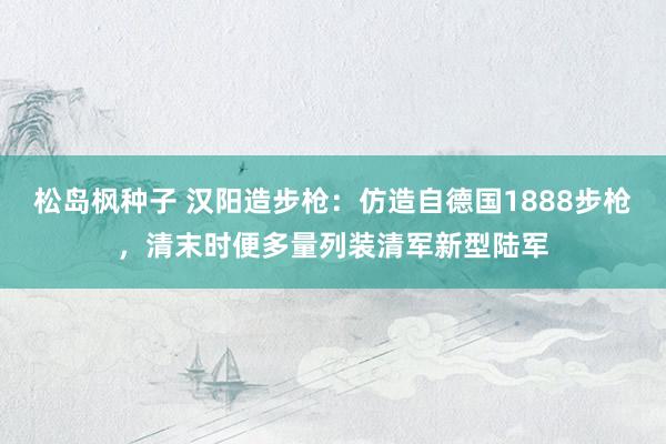 松岛枫种子 汉阳造步枪：仿造自德国1888步枪，清末时便多量列装清军新型陆军