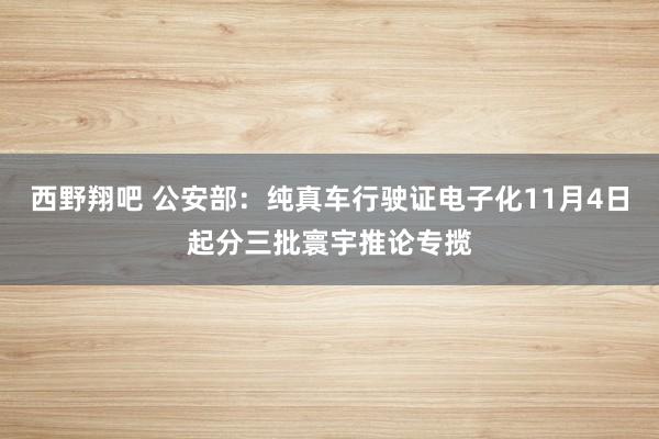 西野翔吧 公安部：纯真车行驶证电子化11月4日起分三批寰宇推论专揽