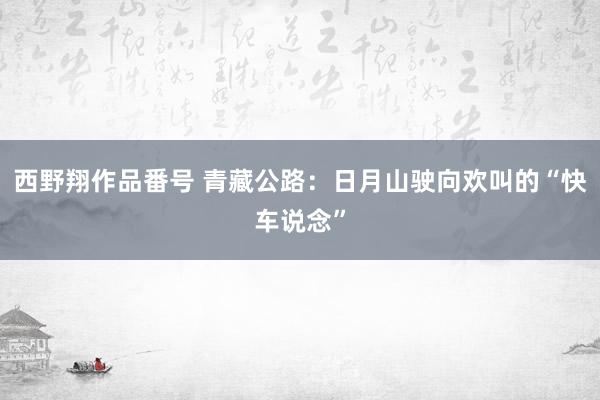 西野翔作品番号 青藏公路：日月山驶向欢叫的“快车说念”