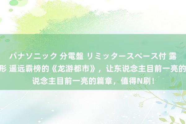 パナソニック 分電盤 リミッタースペース付 露出・半埋込両用形 遥远霸榜的《龙游都市》，让东说念主目前一亮的篇章，值得N刷！