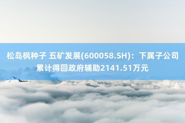 松岛枫种子 五矿发展(600058.SH)：下属子公司累计得回政府辅助2141.51万元