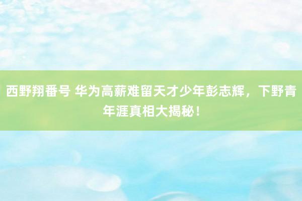 西野翔番号 华为高薪难留天才少年彭志辉，下野青年涯真相大揭秘！